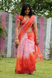 Ritu Kaur in Saree