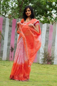 Ritu Kaur in Saree