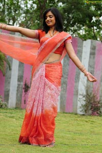 Ritu Kaur in Saree