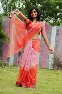 Ritu Kaur in Saree