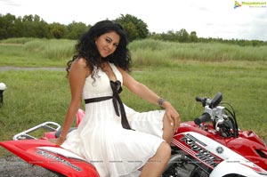 Tamil Actress Kamna Jethmalani Hot Photos