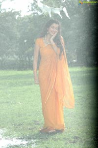 Madhhurima in Saree