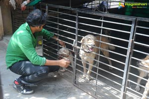 Manoj Manchu with his pet dogs