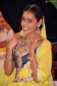 Sadhna Singh at South Asia Rotary Summit 2013
