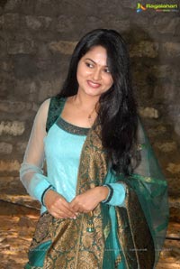 Telugu Heroine Suhasini