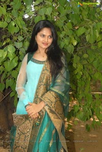 Telugu Heroine Suhasini