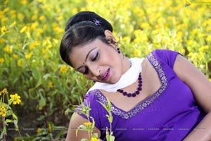 Haripriya Desktop Wallpapers