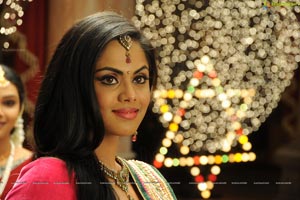 Karthika in Dammu