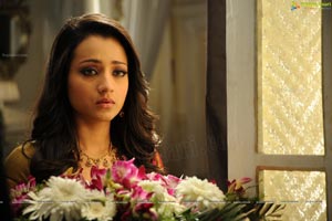 Trisha in Kannaale Kannan