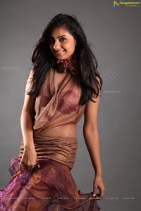 Indian Film Actress Bhanu Sri Mehra