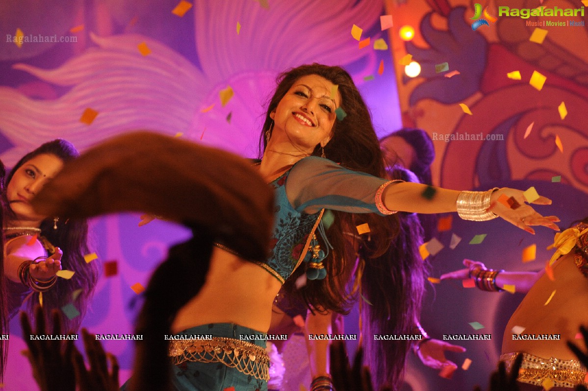 Hamsa Nandini