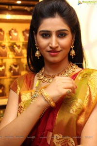 Chandamama Kathalu Shamili