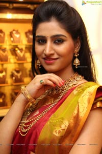 Chandamama Kathalu Shamili