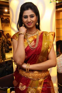 Chandamama Kathalu Shamili