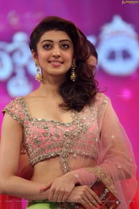 Pranitha Subhash Brahmotsavam