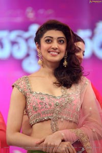 Pranitha Subhash Brahmotsavam