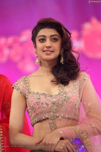 Pranitha Subhash Brahmotsavam