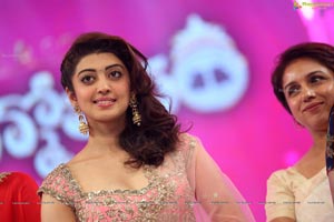 Pranitha Subhash Brahmotsavam