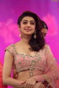 Pranitha Subhash Brahmotsavam