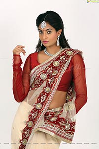 Sharon Fernandes in Saree