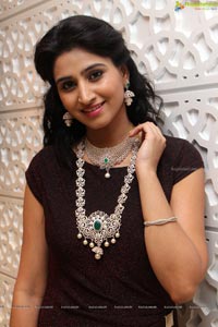 Shamili Sounderajan