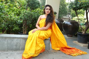 Sony Charishta Yellow Saree