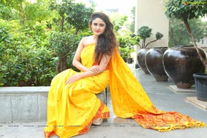 Sony Charishta Yellow Saree