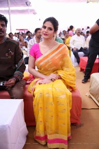 Zarine Khan in Saree