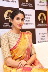 Lavanya Tripathi Pattu Saree