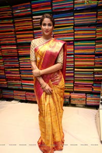 Lavanya Tripathi Pattu Saree