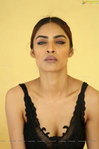 Nasreen Shaikh