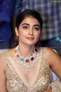 Pooja Hegde 