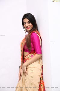 Dimple Thakur HD Stills in Traditional Saree