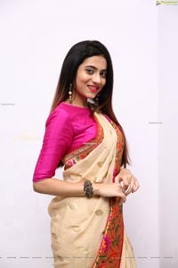Dimple Thakur HD Stills in Traditional Saree
