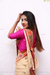 Dimple Thakur HD Stills in Traditional Saree