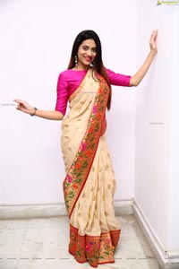 Dimple Thakur HD Stills in Traditional Saree