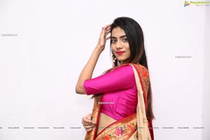 Dimple Thakur HD Stills in Traditional Saree