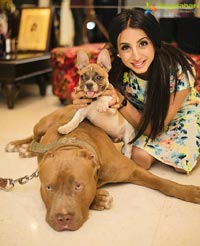 Sanjjanaa Galrani Poses With Her Pet Dog