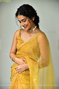 Aakanksha Singh at Shashtipoorthi Movie Interview