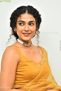 Aakanksha Singh at Shashtipoorthi Movie Interview