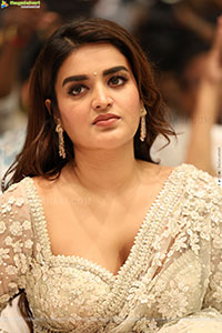 Nidhhi Agerwal at Hari Hara Veera Mallu Song Launch