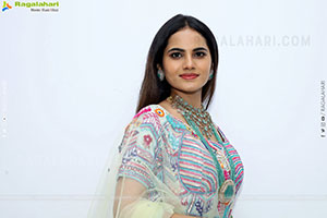 Priyanka Chowdary Poses With Gold Jewellery, HD Gallery