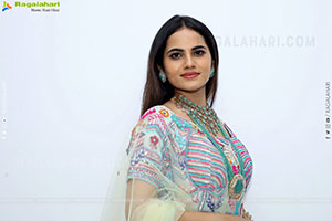Priyanka Chowdary Poses With Gold Jewellery, HD Gallery
