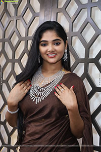 Gayathri Kothapalli stills in Traditional Saree