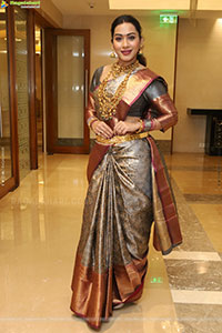 Preethi Singh Traditional stills with Jewellery