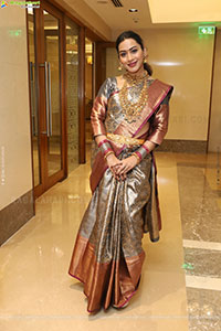 Preethi Singh Traditional stills with Jewellery