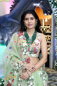Punam Shail stills in Elegant Silk Lehenga Choli