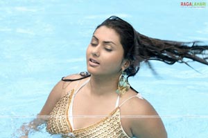 Namitha Photo Gallery