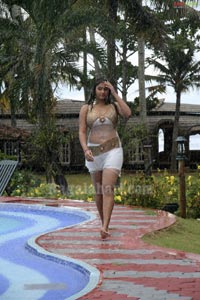 Namitha Photo gallery