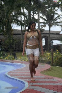 Namitha Photo gallery